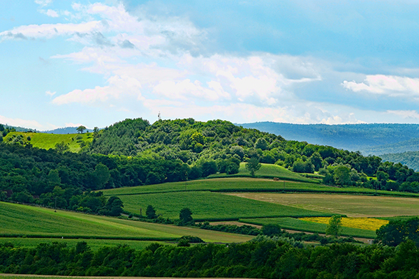 第三方服务——让数据更有公信力，让报告更具权威性